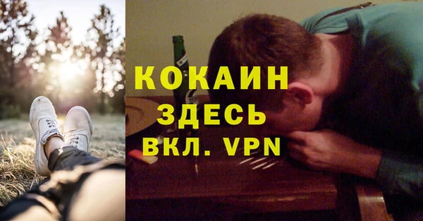 дживик Арсеньев